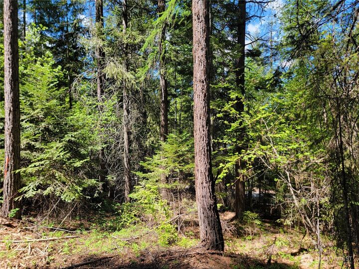 Property Photo:  263  Twin Lakes Road  WA 99138 