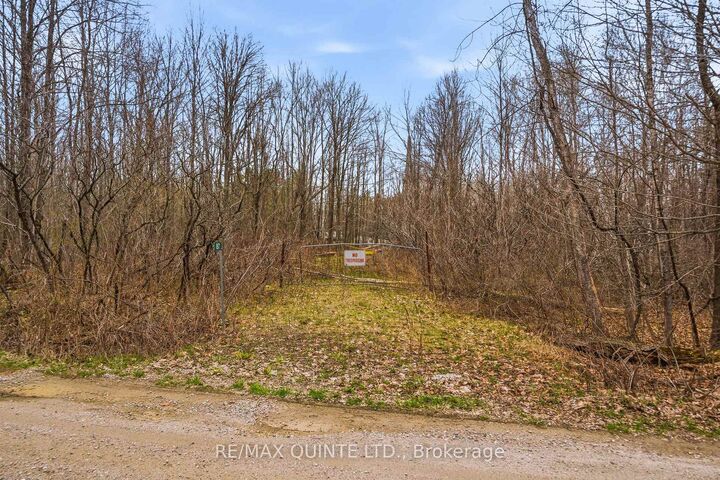 Property Photo:  87 Gull Creek Lane  ON K0H 1B0 