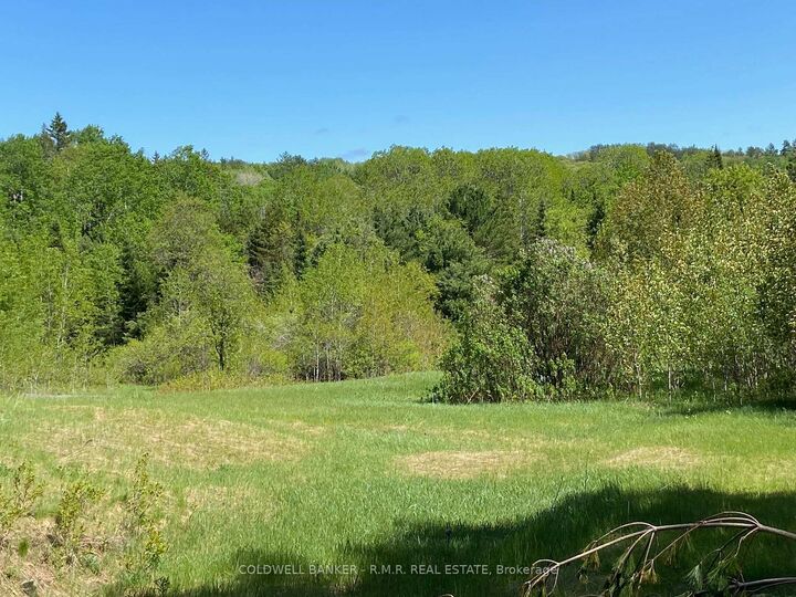Photo de la propriété:  1274 Holland Lake Road  ON K0L 1C0 