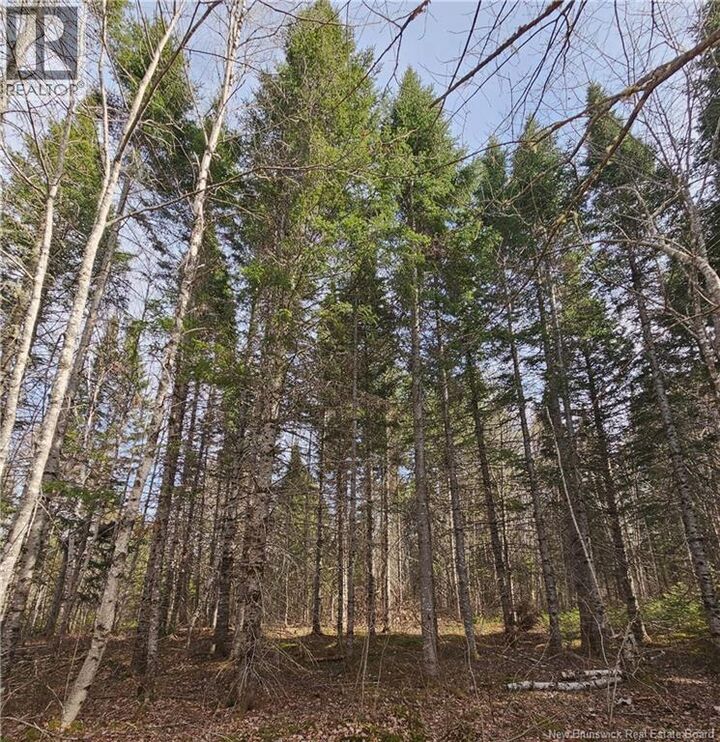 Property Photo:  00 Route 118  NB E9E 2G8 