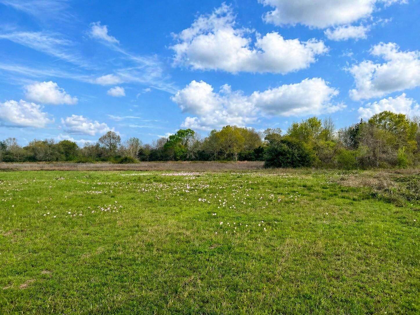 Property Photo:  Tbd W Fm 1161  TX 77488 