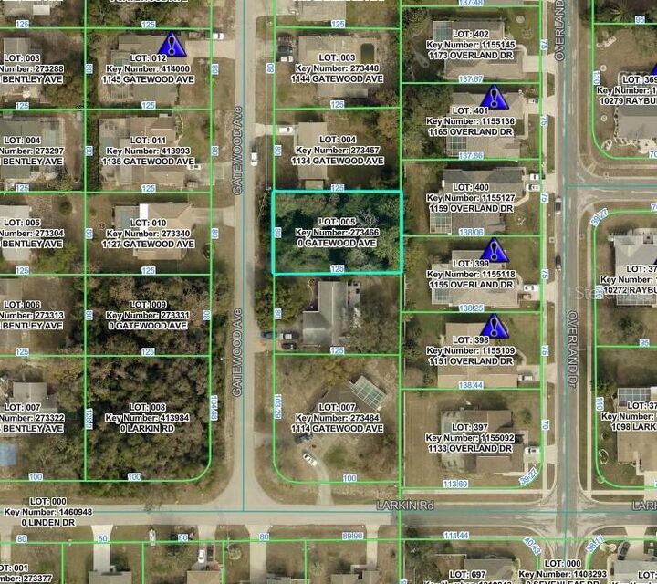 Property Photo:  Gatewood Avenue  FL 34608 