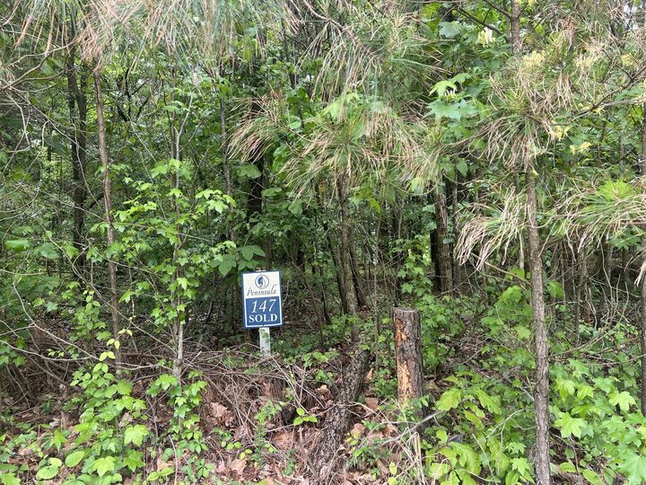 Property Photo:  Lot 147 Parrish Ridge  IL 62939 