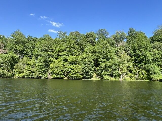 Property Photo:  Lot 147 Parrish Ridge  IL 62939 