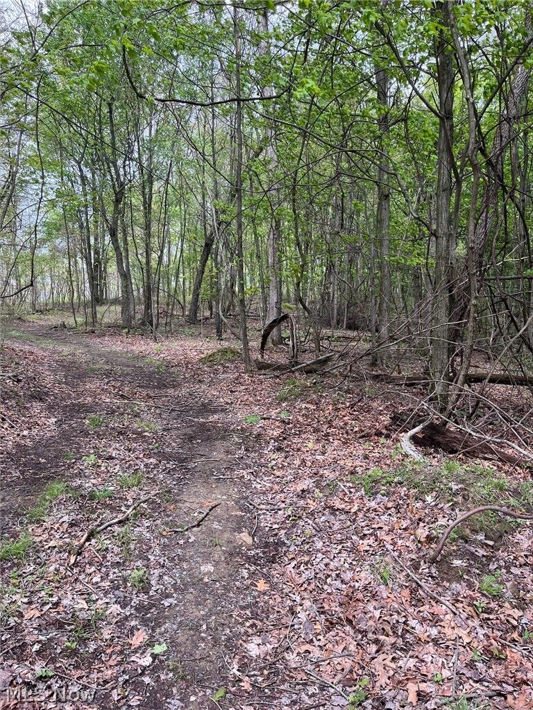 Property Photo:  Sandy Ridge Road  OH 44699 