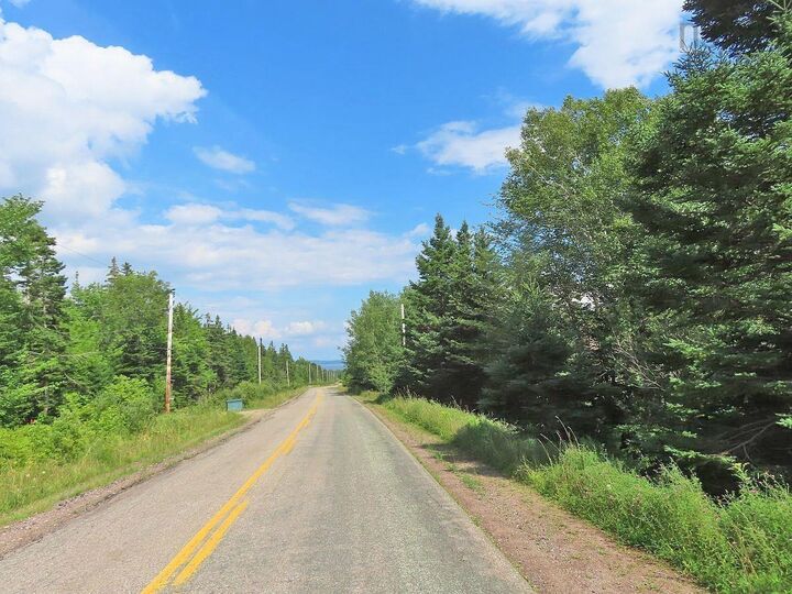46 Acres Washabuck Road — photo 1