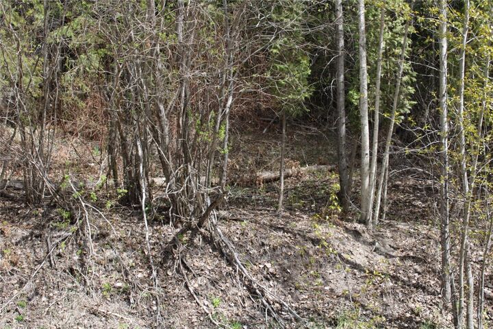 Lot 2 Vickers Trail — photo 1