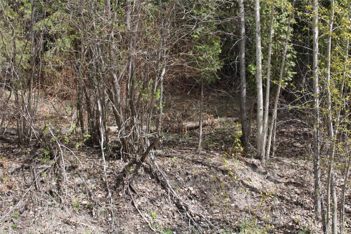 Property Photo: Lot 2 Vickers Trail BC V0E 1M8