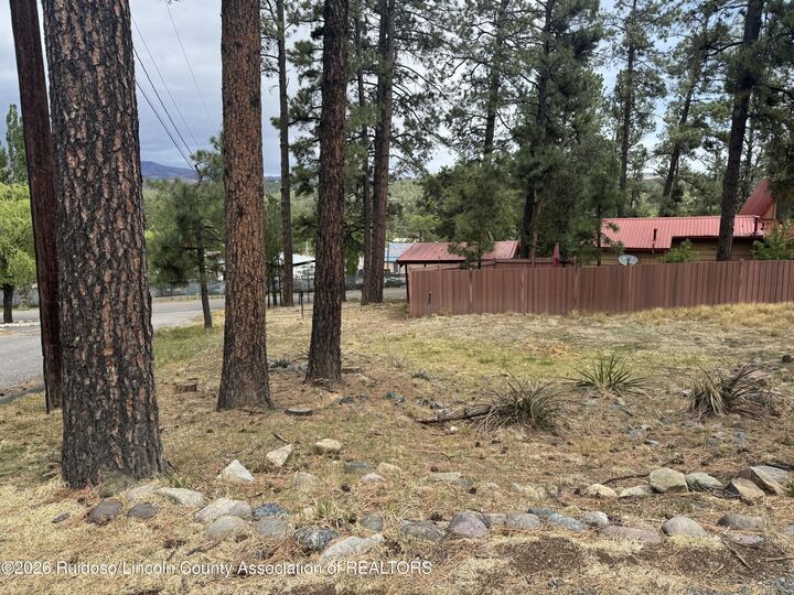Property Photo:  101 Nabors Lane  NM 88345 