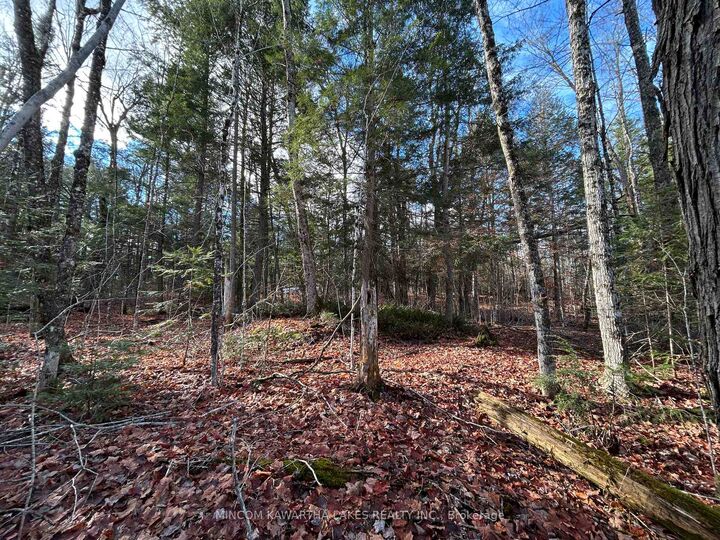 Property Photo:  00 Mill Lake Road  ON K0L 1A0 