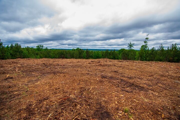 Property Photo:  Tract 6 - 0 Chestnut Grove Road  GA 31826 