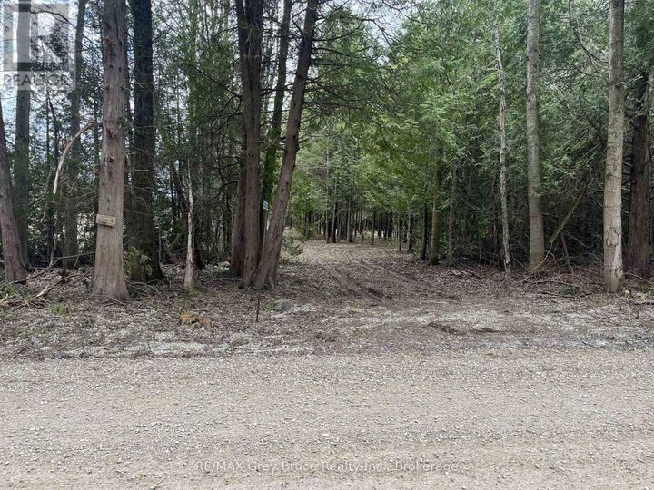 Property Photo:  523782 Concession 12 Road  ON N0C 1H0 