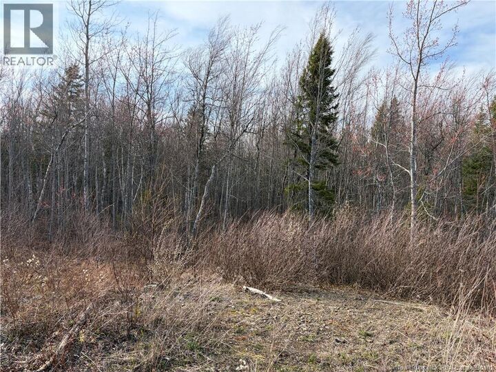 Property Photo:  Lot 2 Cocagne Sud  NB E4R 2C9 