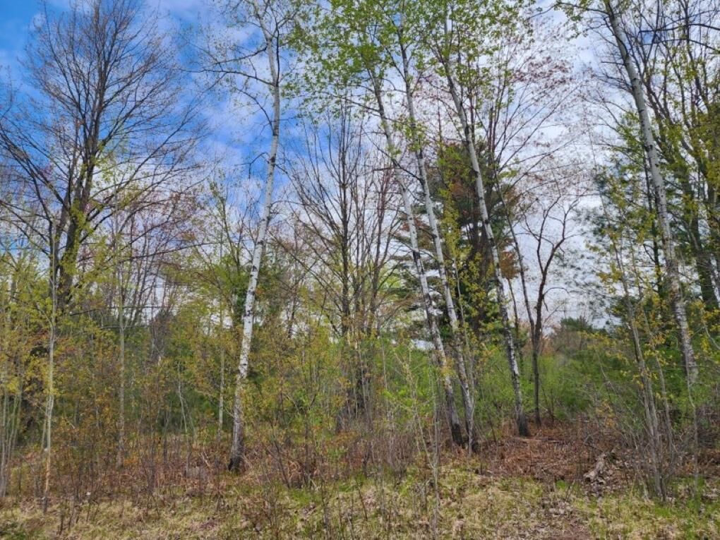 Property Photo:  .34 Acres N 36th Avenue Hilltop Avenue  WI 54401 