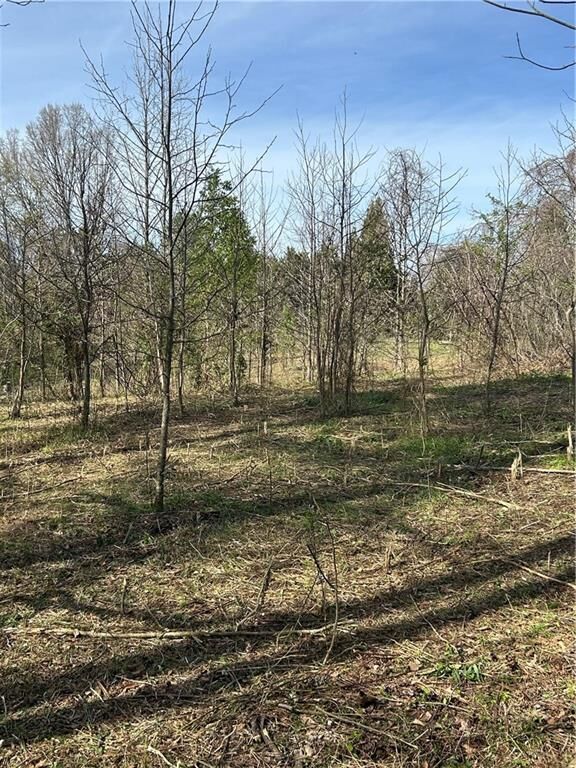 Property Photo: 0 Browning Road GA 30139