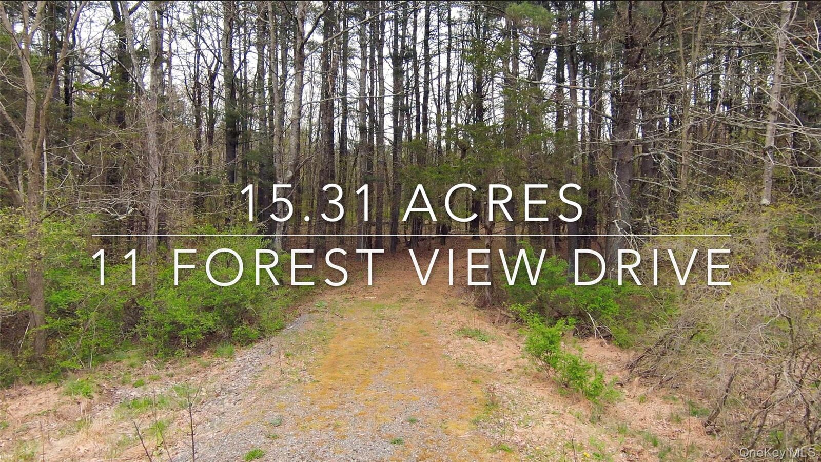 Property Photo:  11 Forest View Drive  NY 12414 