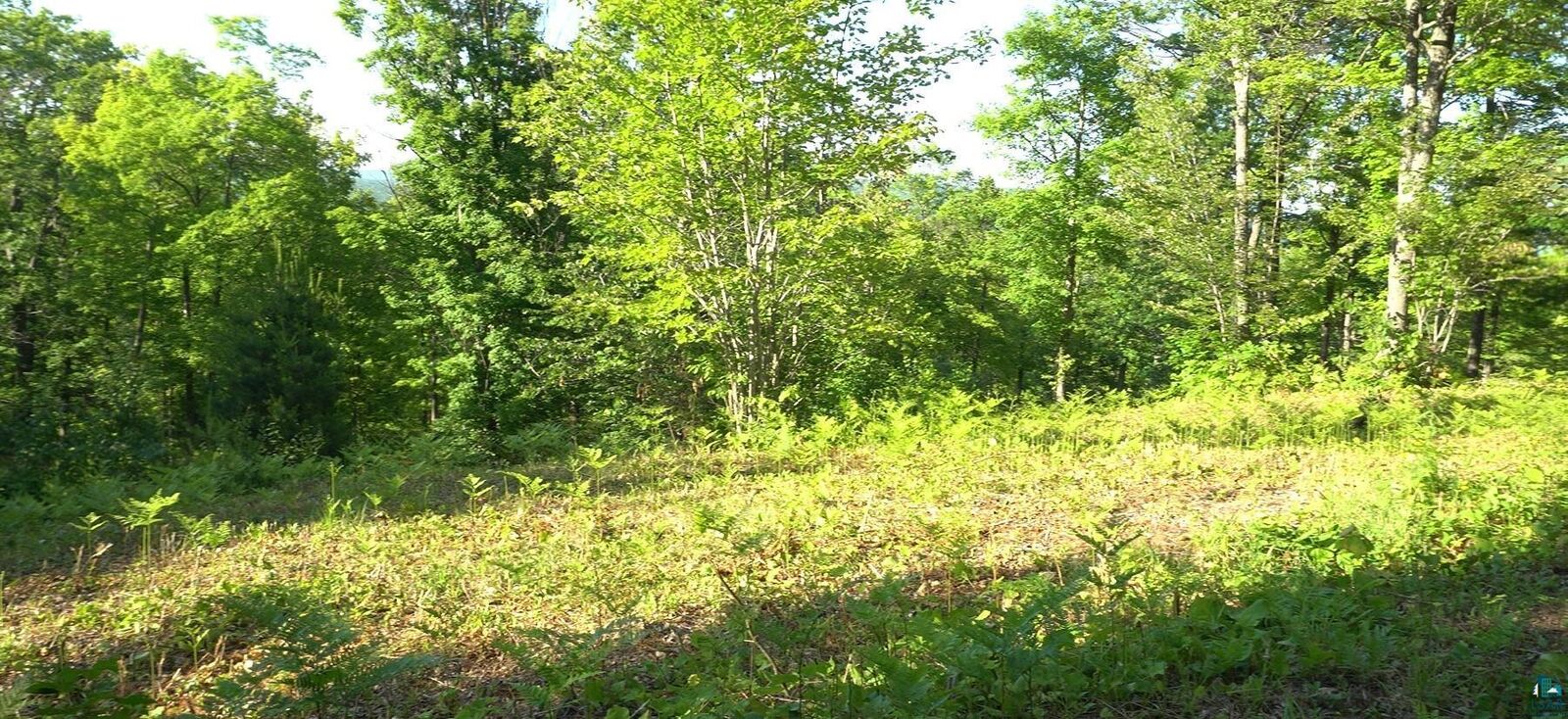 Property Photo:  83xxx Ashwabay Heights Rd  WI 54814 