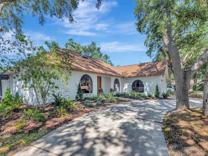 Property Photo:  2820 Valencia Lane W  FL 34684 