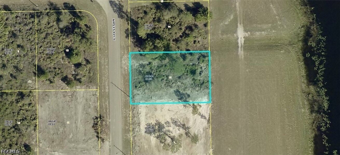 Property Photo:  959 Naples Avenue S  FL 33974 