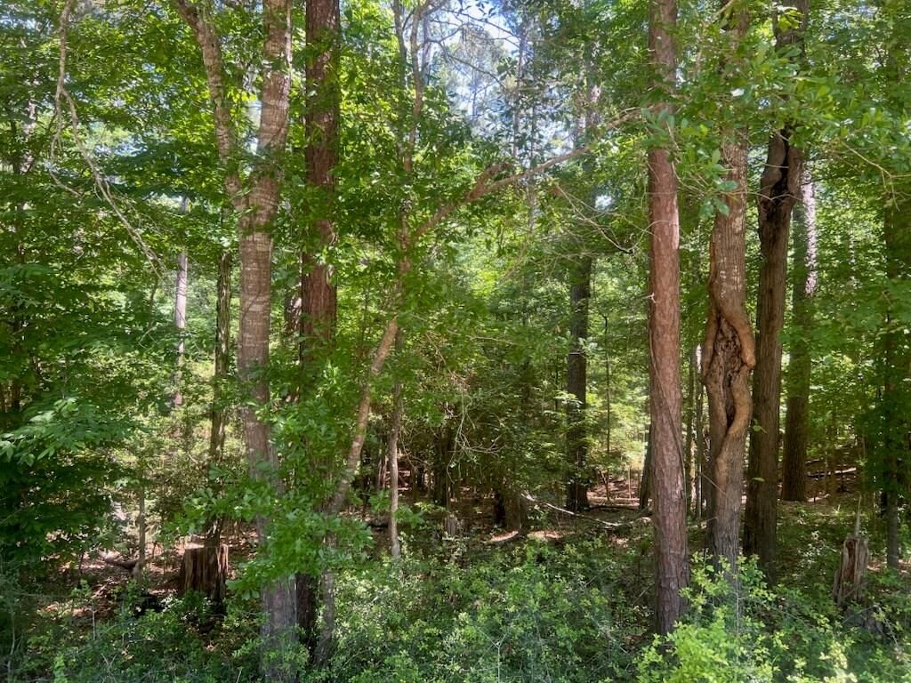 Property Photo:  324 Leisure Lane  TX 75944 