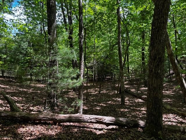 Property Photo:  Lot 43 Edgewood Trail  GA 30512 