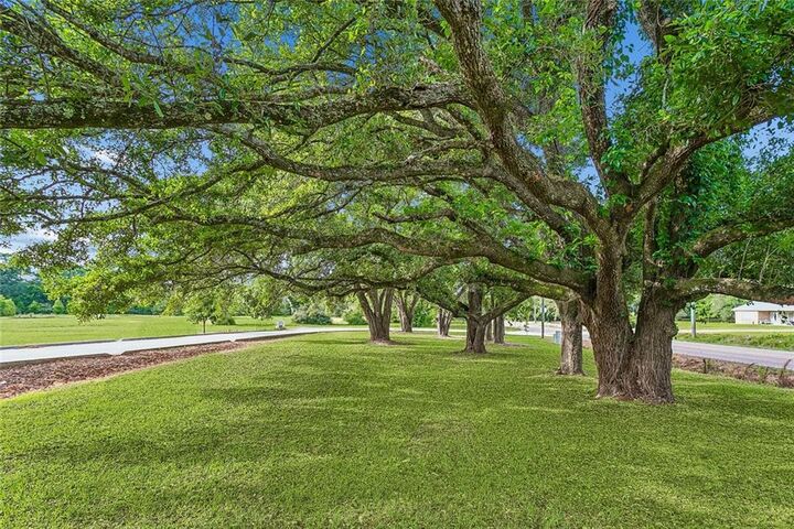Property Photo:  6.1 Acres Hwy 437  LA 70435 