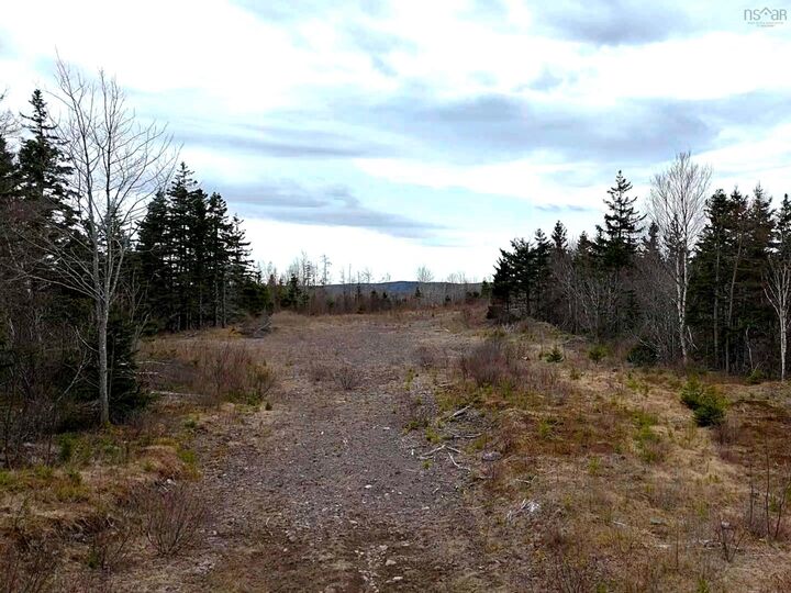 Property Photo:  Louisbourg Highway  NS B1C 2E6 