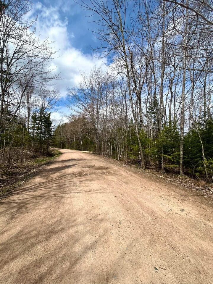 Property Photo:  Lot 10 Black Duck Lake Road  NS B0P 1C0 