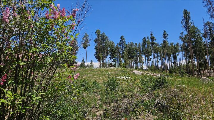 Property Photo:  118 Gcr 4947  CO 80447 