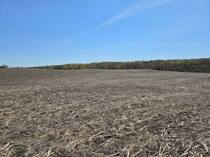 0 Windmill Road — photo 1
