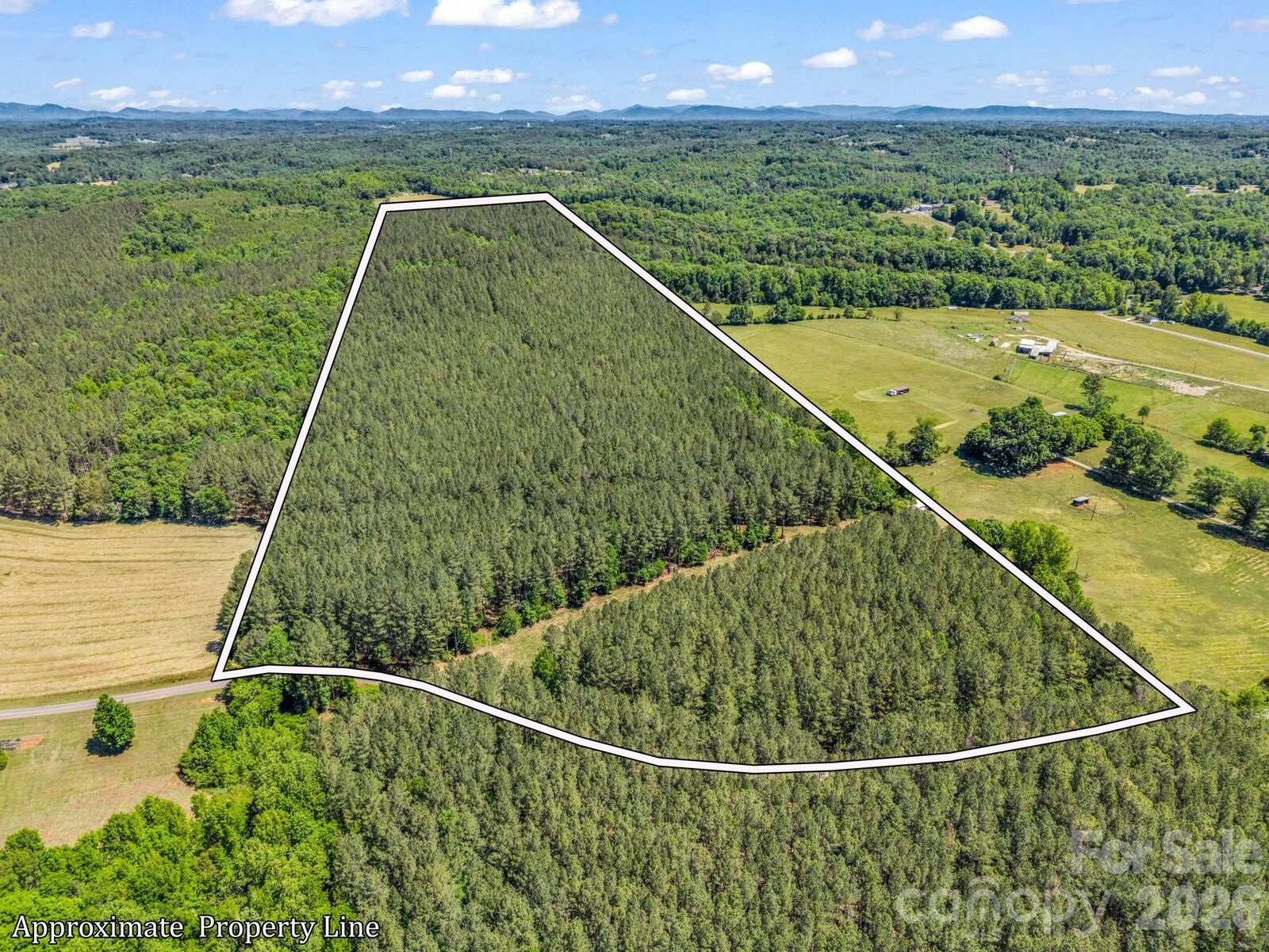 Property Photo: 0 Jim Dobbins Road NC 28139