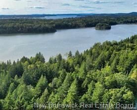 Property Photo:  Lot 88-109 Bunker Hill Road  NB E5E 1M3 