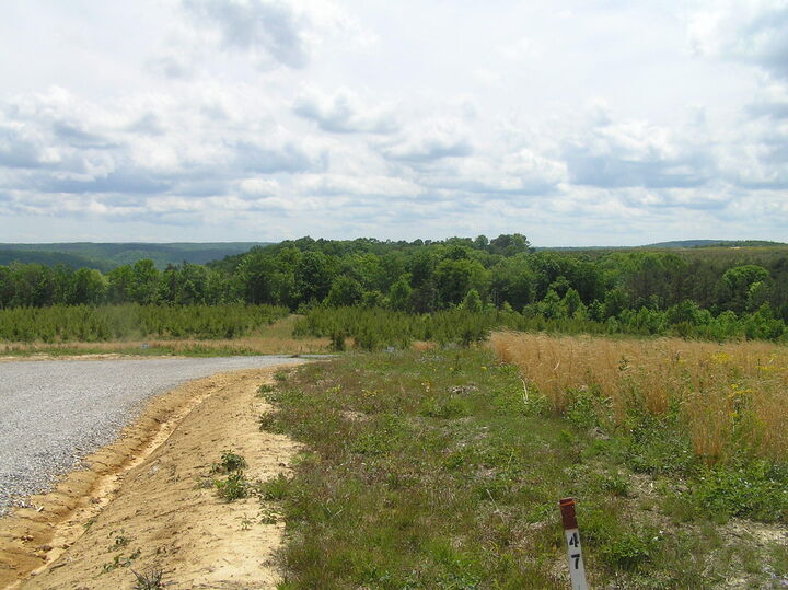 Property Photo:  