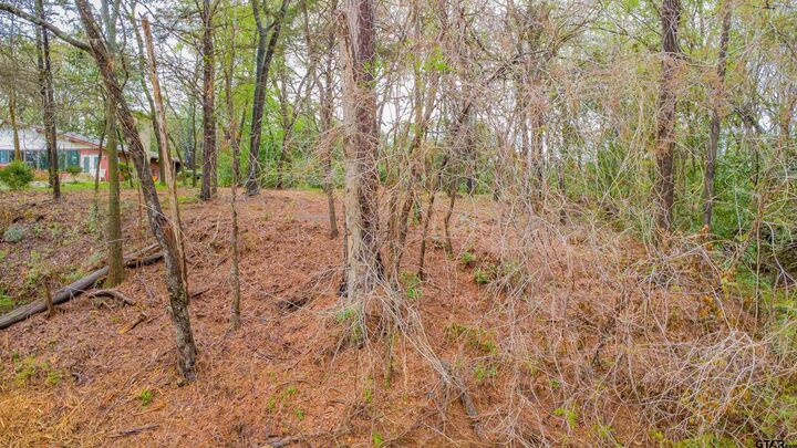 Property Photo:  161 Fairway East  TX 75771 