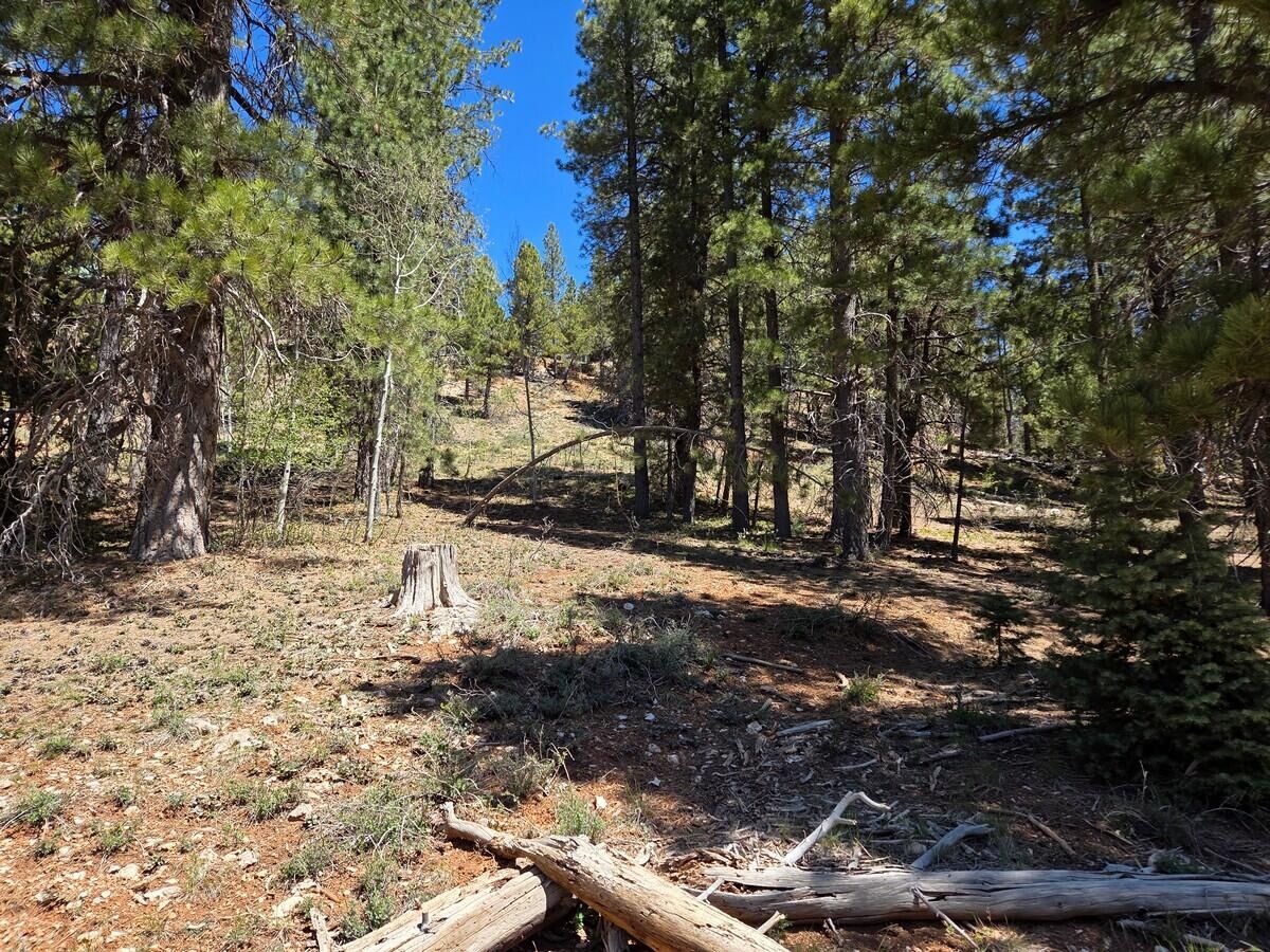 Property Photo:  2175 E Sleepy Meadow Ln  UT 84762 