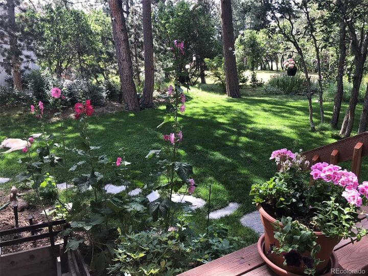 Property Photo:  19850 Indian Summer Ln  CO 80132 