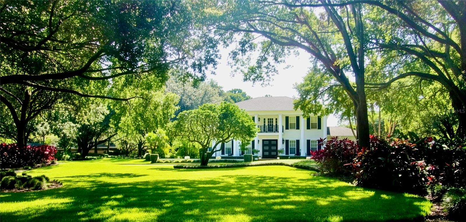 Property Photo: 16203 Avila Boulevard FL 33613