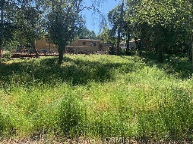Property Photo:  14245 Woodland  CA 95422 