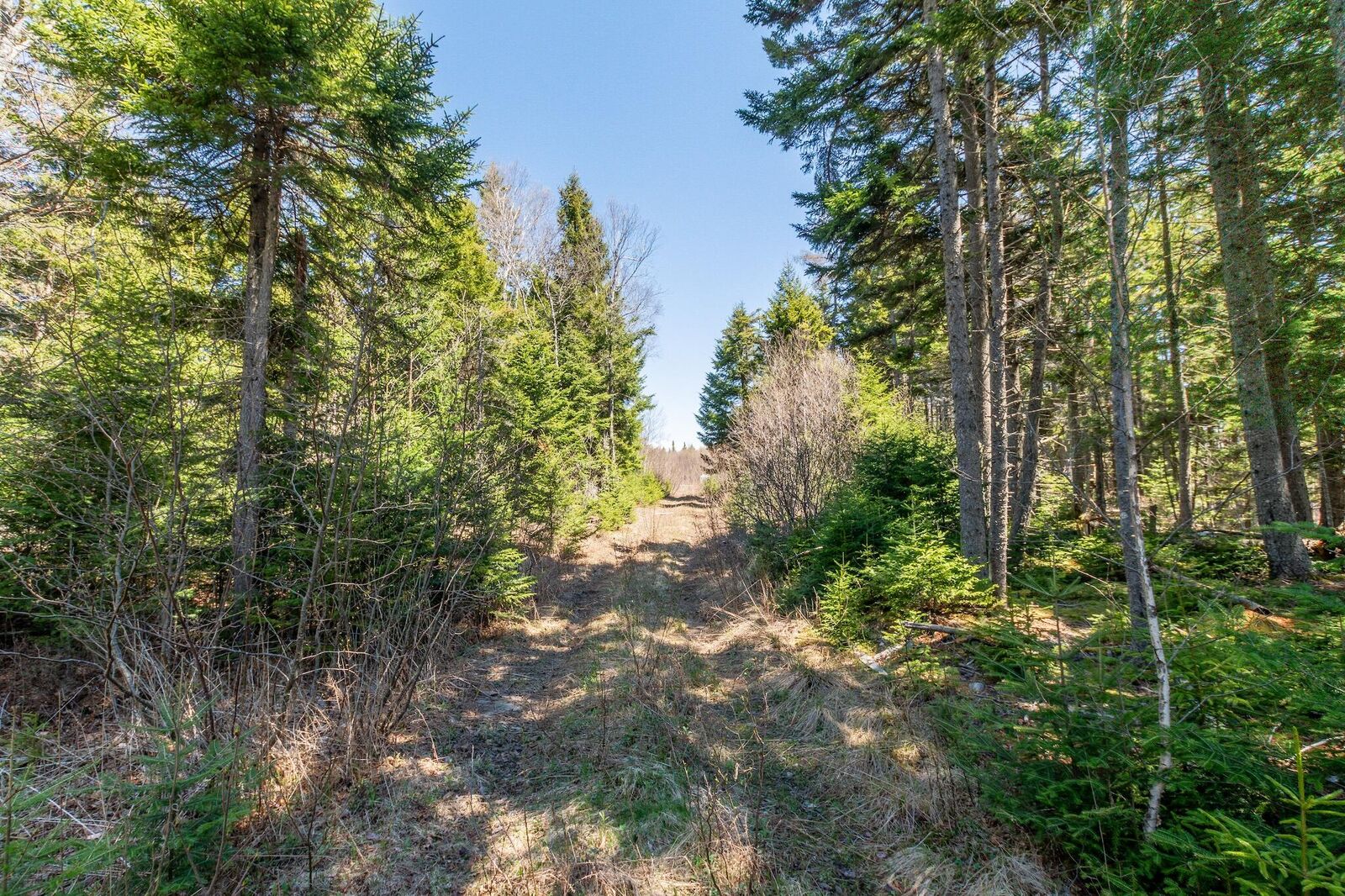 Property Photo: 840 Cutler Rd. Road ME 04655