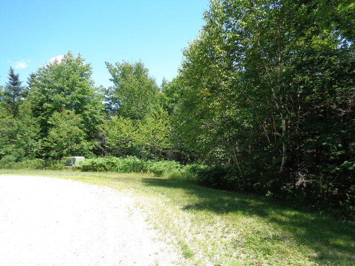 Property Photo: Lot 9 Bailey Mountain Road ME 04634