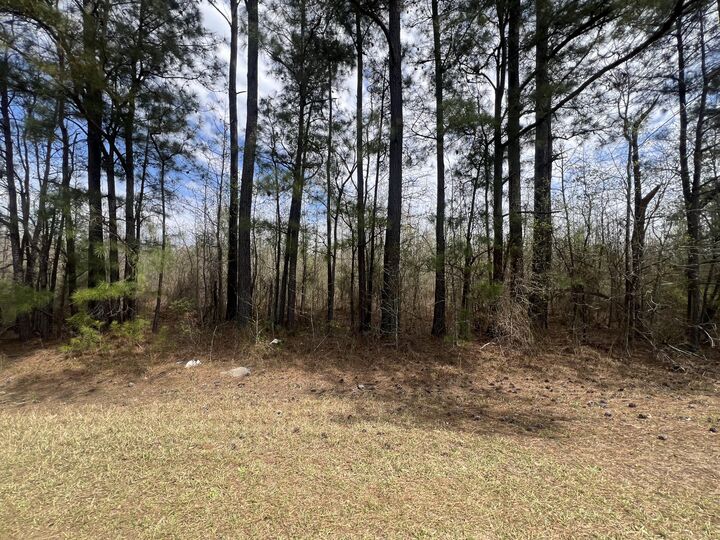 Property Photo:  0 Marshall Church Road  GA 30824 
