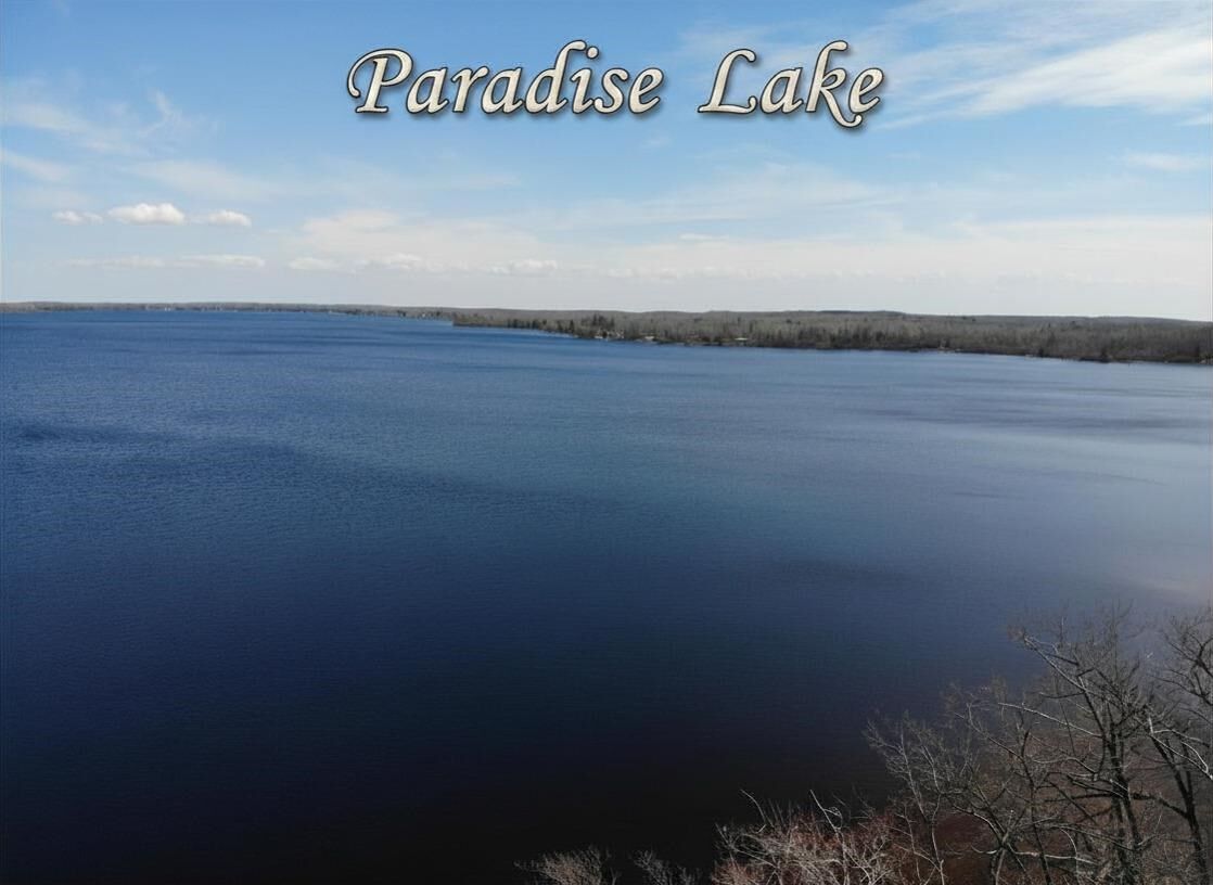 Property Photo:  6398 Paradise  MI 49718 