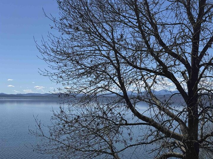 Property Photo:  481 Hills Point Road  VT 05445 