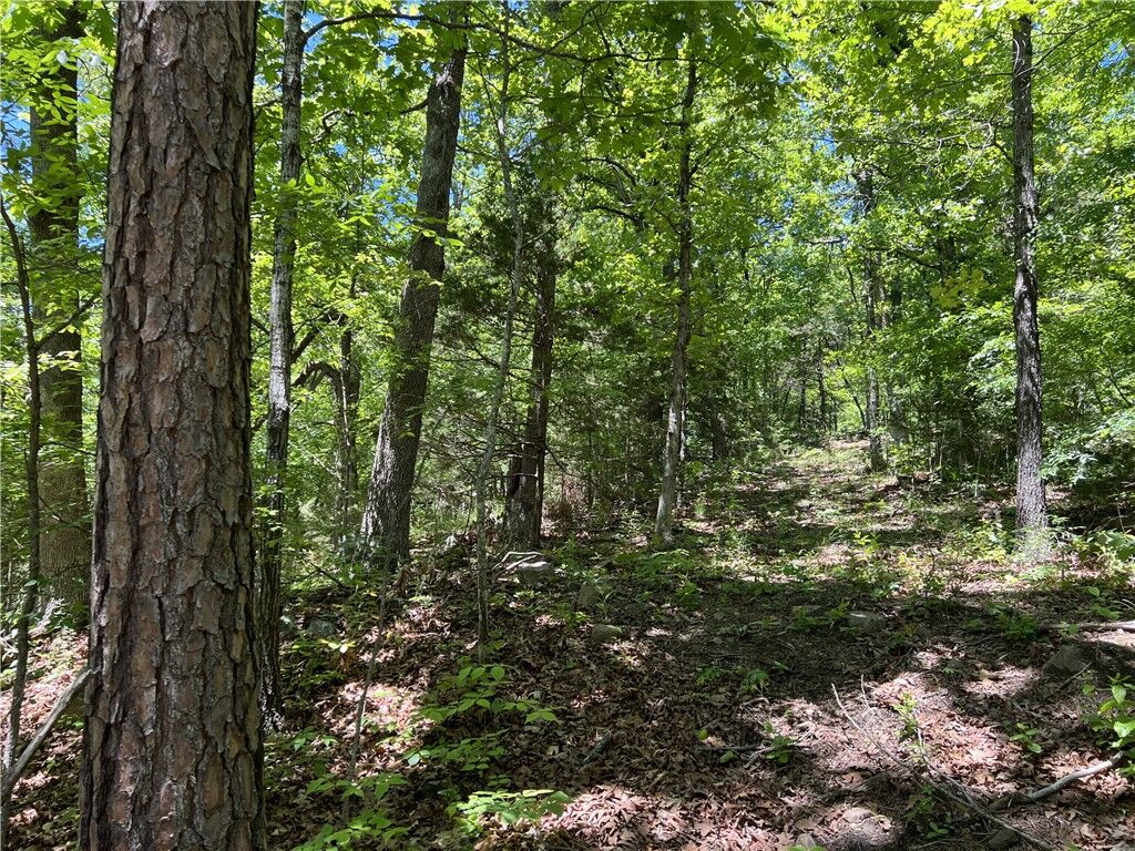 Property Photo:  Terrapin Road  AR 72601 