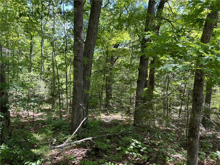 Property Photo:  Terrapin Road  AR 72601 