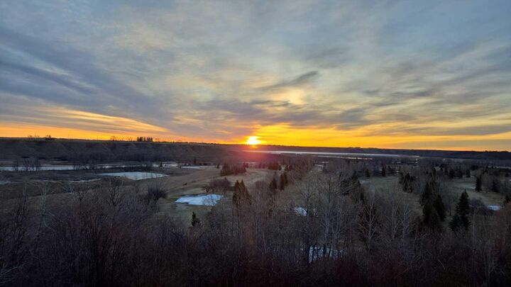 Property Photo:  44 Cottonwood Boulevard  AB T1S 4W2 
