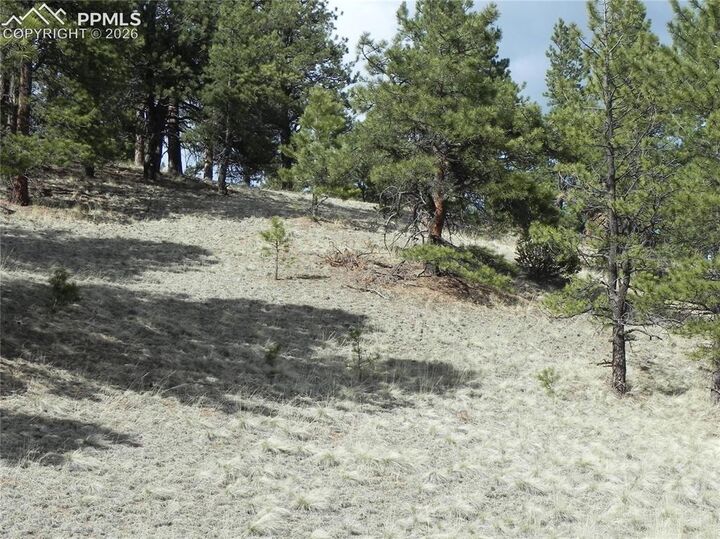 Property Photo:  1699 Monarch Drive  CO 80813 