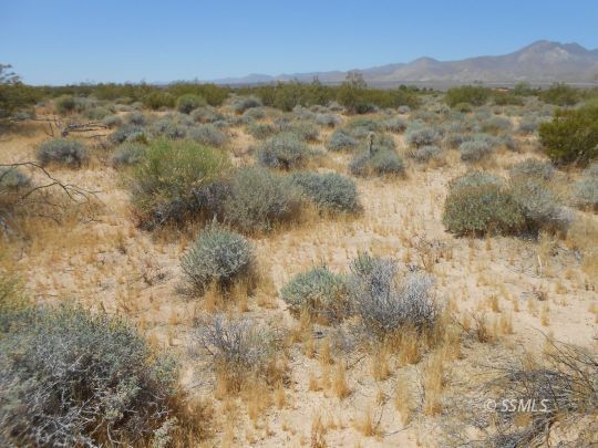 Property Photo:  Los Flores  CA 93527 