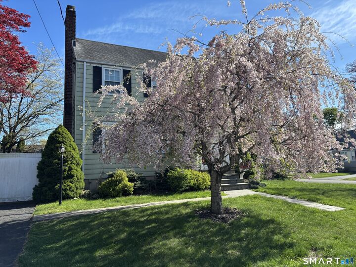 Property Photo:  11 Fairlea Avenue  CT 06614 