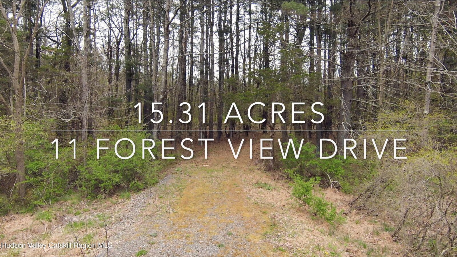Property Photo: 11 Forest View NY 12414